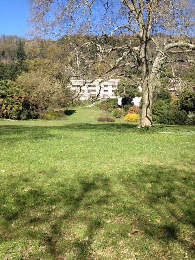 Casa Del Lago Maggiore Lesa Daire Dış mekan fotoğraf